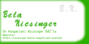 bela nicsinger business card